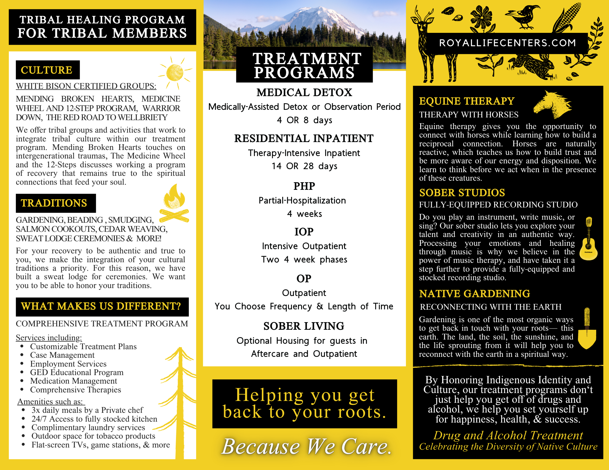 Tribal Healing Program Trifold Brochure