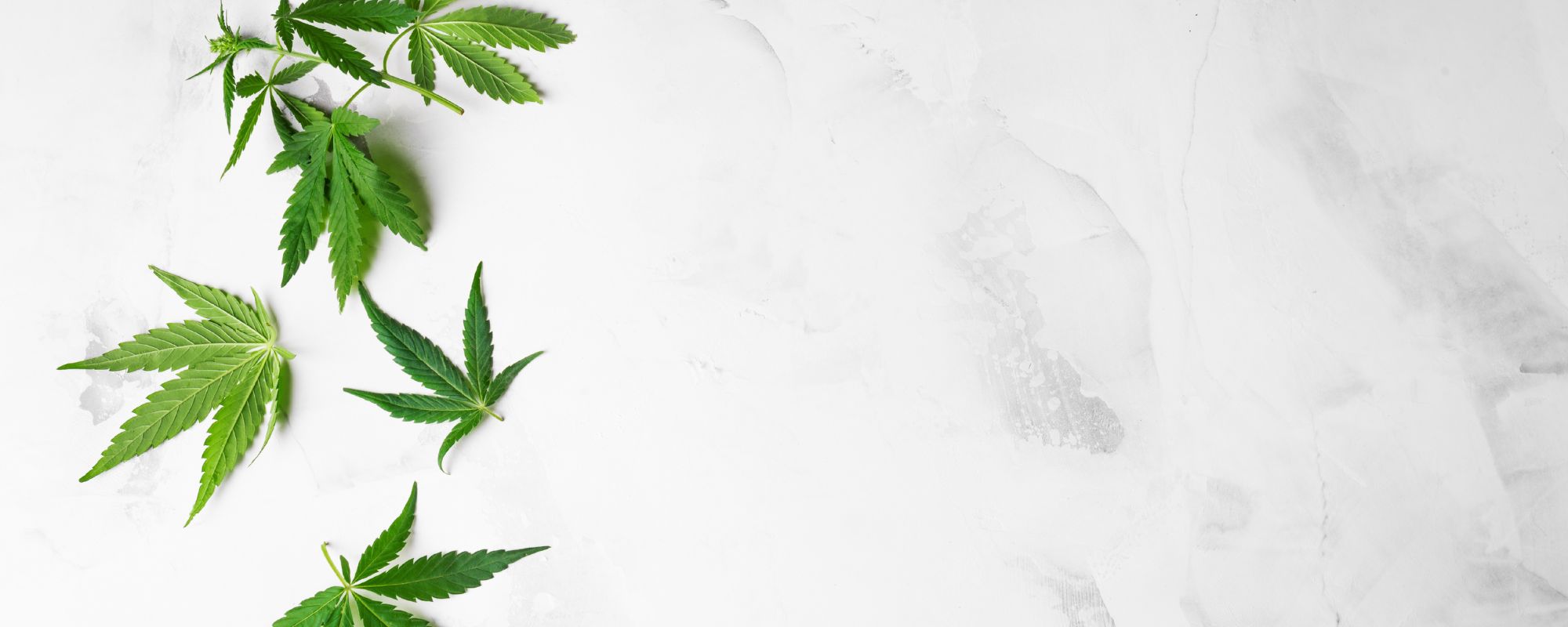 Mixing Xanax and Pot: Risks, Side Effects, and What to Watch For