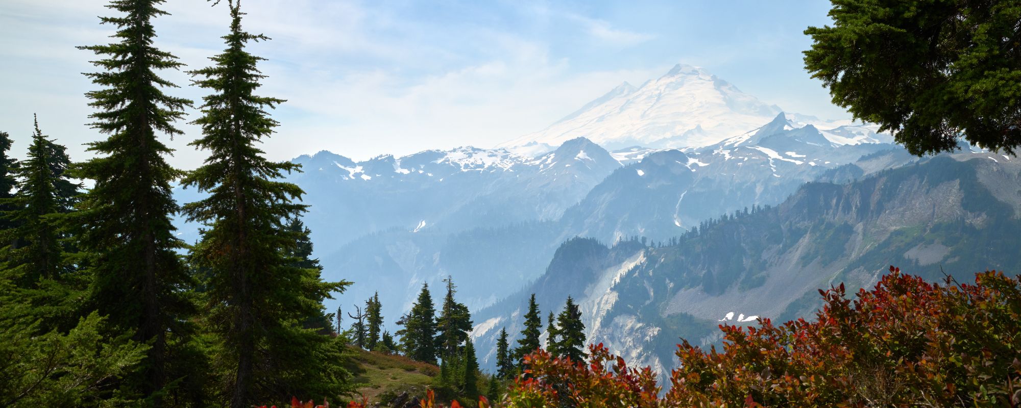 Can You Be Fired for Going to Rehab? Job Protection, FMLA, and Leave in Washington